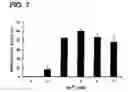Fig. 08 - Recombinant SARS-CoV nsp12 and the use of thereof and the method for producing it