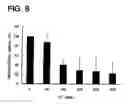 Fig. 09 - Recombinant SARS-CoV nsp12 and the use of thereof and the method for producing it