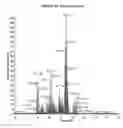 Fig. 02 - Methods of determining levels of free amino acids and dipeptides and diagnosing Alzheimer's disease