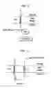 Fig. 02 - Methods and Compositions for Targeting Proteins of Interest to the Host Cell Envelope