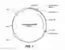 Fig. 02 - CHIMERIC ALPHA-AMYLASE VARIANTS