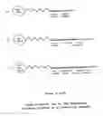 Fig. 04 - Novel process, construct and conjugate for producing multiple nucleic acid copies