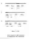 Fig. 05 - Novel process, construct and conjugate for producing multiple nucleic acid copies