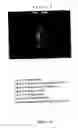 Fig. 20 - Novel process, construct and conjugate for producing multiple nucleic acid copies