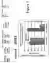 Fig. 02 - METHOD FOR FREEZING AND STORING CELLS