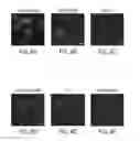 Fig. 06 - Modular functional peptides for the intracellular delivery of nanoparticles