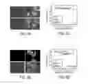 Fig. 08 - Modular functional peptides for the intracellular delivery of nanoparticles