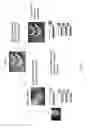 Fig. 02 - Cardiomyocyte production