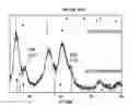 Fig. 01 - Method of preparing luminescent nanocrystals, the resulting nanocrystals and uses thereof