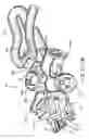 Fig. 09 - Extension Cord Lock and In Line Tap