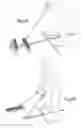 Fig. 12 - Golf training device