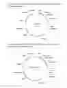 Fig. 02 - PLANTS WITH INCREASED YIELD AND/OR INCREASED TOLERANCE TO ENVIRONMENTAL STRESS (IY-BM)