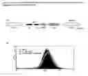 Fig. 07 - Methods using dsdna to mediate rna interference (rnai)