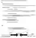 Fig. 09 - Methods using dsdna to mediate rna interference (rnai)