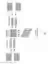 Fig. 10 - Arrays of microparticles and methods of preparation thereof
