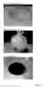 Fig. 13 - Arrays of microparticles and methods of preparation thereof