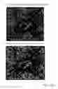 Fig. 14 - Arrays of microparticles and methods of preparation thereof