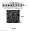 Fig. 22 - Arrays of microparticles and methods of preparation thereof