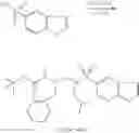 Fig. 85 - Methods for inhibiting drug degradation