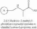 Fig. 136 - ELUCIDATING LIGAND-BINDING INFORMATION BASED ON PROTEIN TEMPLATES