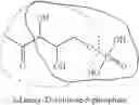 Fig. 35 - ELUCIDATING LIGAND-BINDING INFORMATION BASED ON PROTEIN TEMPLATES