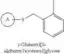 Fig. 49 - ELUCIDATING LIGAND-BINDING INFORMATION BASED ON PROTEIN TEMPLATES