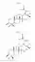 Fig. 07 - TRITERPENOID-BASED COMPOUNDS USEFUL AS VIRUS INHIBITORS