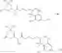Fig. 260 - Compounds
