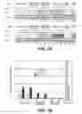 Fig. 02 - RNA interference for the treatment of heart failure