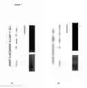 Fig. 11 - METHODS OF DETECTING LONG RANGE CHROMOSOMAL INTERACTIONS