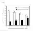 Fig. 09 - DRUG CARRIER