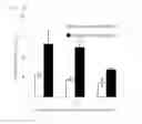 Fig. 13 - DRUG CARRIER