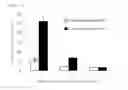 Fig. 15 - DRUG CARRIER