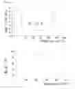 Fig. 03 - Resist copolymers containing photoacid generators for lithographic applications and its method of preparation