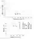Fig. 05 - Resist copolymers containing photoacid generators for lithographic applications and its method of preparation