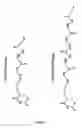 Fig. 02 - Label target and labeling reagents comprising backbones with at least two consecutive peptide bonds