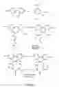 Fig. 10 - Label target and labeling reagents comprising backbones with at least two consecutive peptide bonds