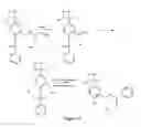 Fig. 16 - Label target and labeling reagents comprising backbones with at least two consecutive peptide bonds