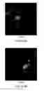 Fig. 72 - siRNA useful to supress expression of EIF-5A1