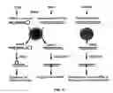 Fig. 05 - RNA interference methods using DNA-RNA duplex constructs