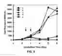 Fig. 06 - RNA interference methods using DNA-RNA duplex constructs