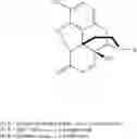 Fig. 04 - Process for the synthesis of morphinane compounds and intermediates thereof