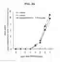 Fig. 06 - EP4 agonist