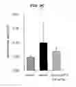 Fig. 22 - EP4 agonist