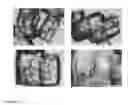 Fig. 05 - Process for preparation of formate salt