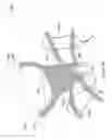 Fig. 20 - Pelvic floor repair system