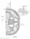 Fig. 40 - Surgical access system and related methods