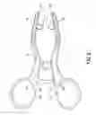 Fig. 03 - Speculum