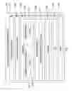 Fig. 08 - Skin and wound assessment tool