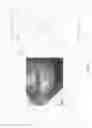 Fig. 09 - Skin and wound assessment tool